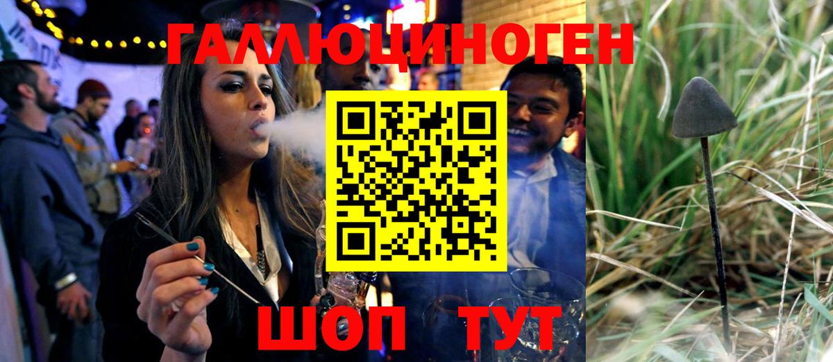 Псилоцибиновые грибы MAGIC MUSHROOMS  Вход с VPN  Петропавловск-Камчатский 
